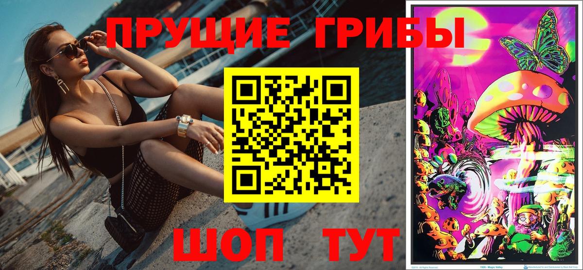Галлюциногенные грибы Psilocybine cubensis  Галлюциногенные грибы Cubensis  Вход с VPN  Самара 